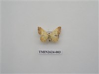 藏品(尺蛾144)的圖片